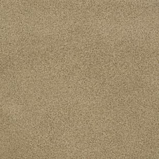 Линолеум Tarkett Bonus Fenix 3 фото 1 | FLOORDEALER